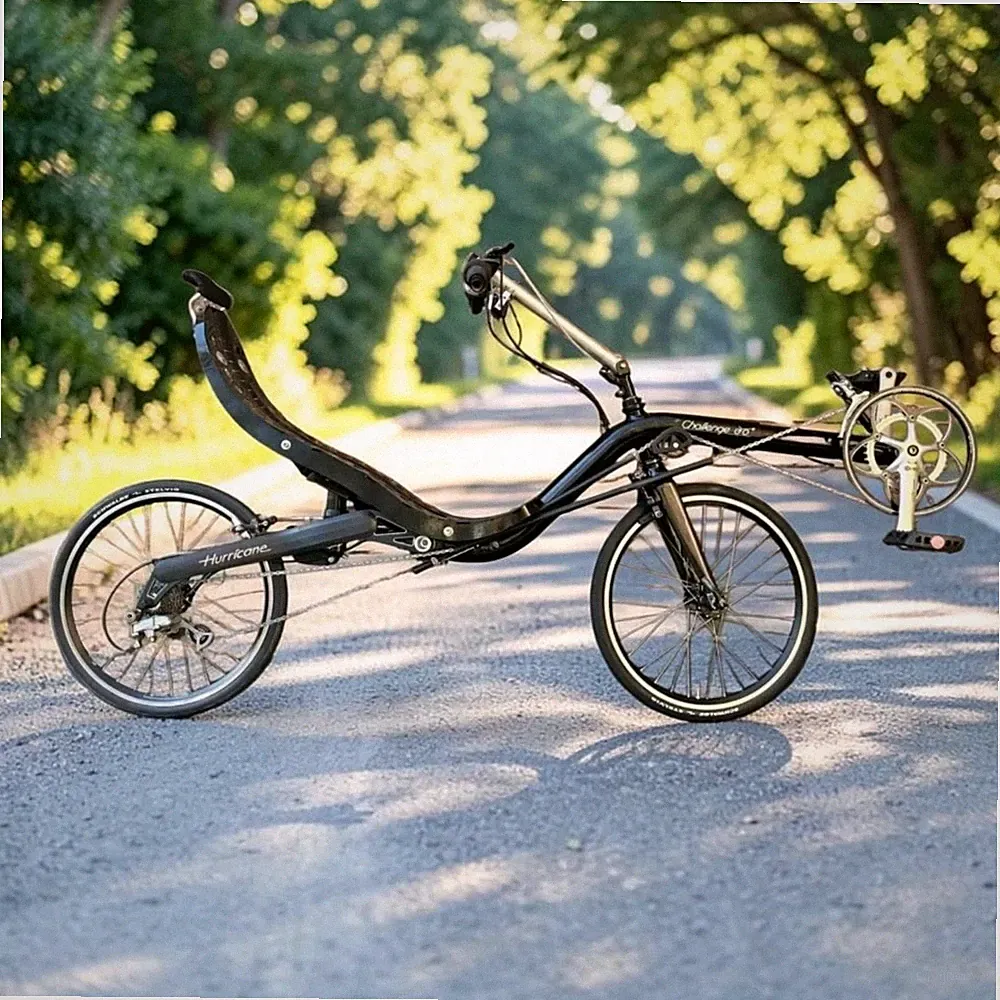 Rear Recumbent