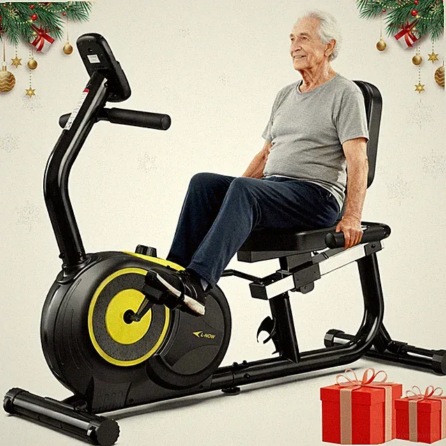 Indoor Exercise Bike Recumbent Exercise Bike Stationary Bike with Adjusted Seat
